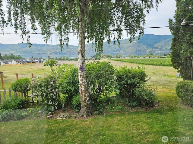 1555 Swartout Rd, Manson, WA 98831 - view of yard with a mountain view and a rural view