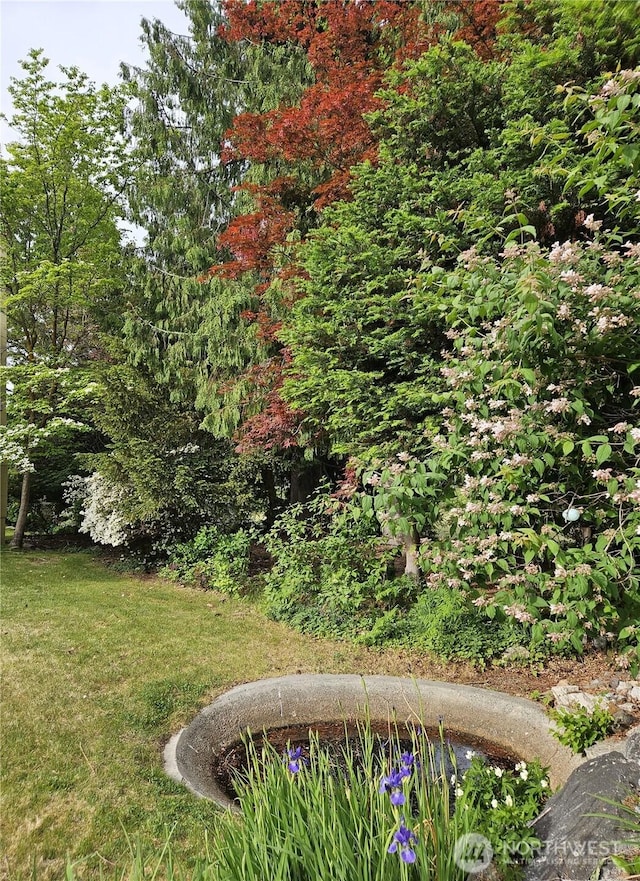 1555 Swartout Rd, Manson, WA 98831 - view of grassy yard