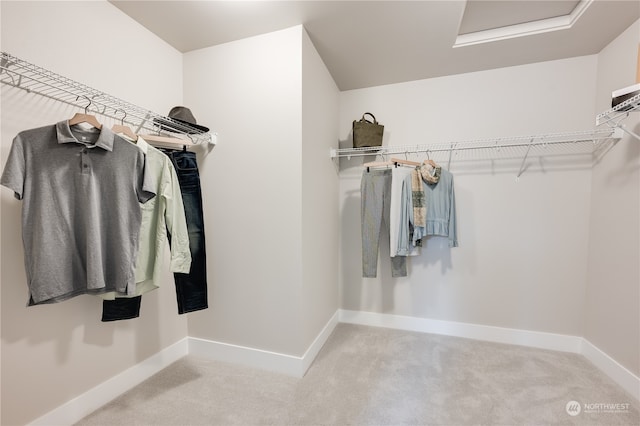 walk in closet with light carpet