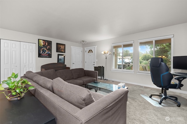 living room with carpet