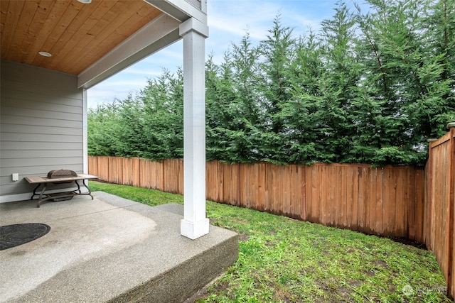 view of yard with a patio area