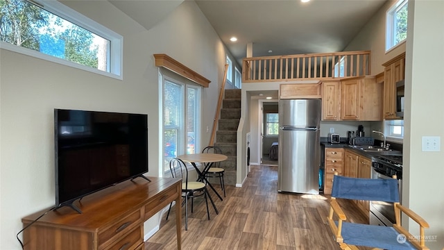 kitchen featuring sink, appliances with stainless steel finishes, a towering ceiling, dark hardwood / wood-style floors, and light brown cabinetry