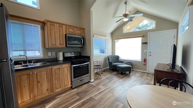 kitchen with sink, ceiling fan, appliances with stainless steel finishes, high vaulted ceiling, and wood-type flooring