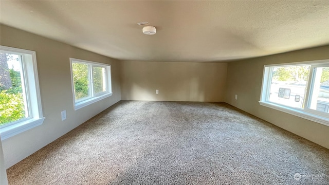 carpeted empty room featuring plenty of natural light and a textured ceiling