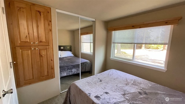 bedroom with a closet and carpet