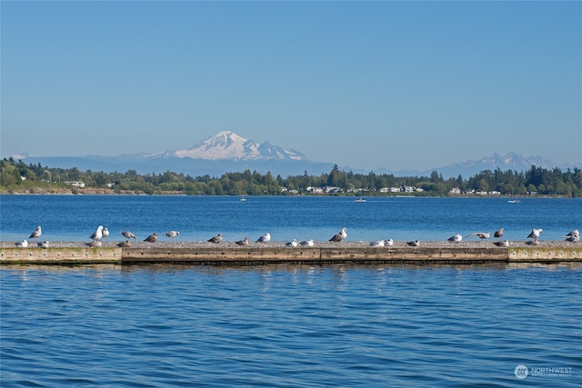 property view of water featuring a mountain view