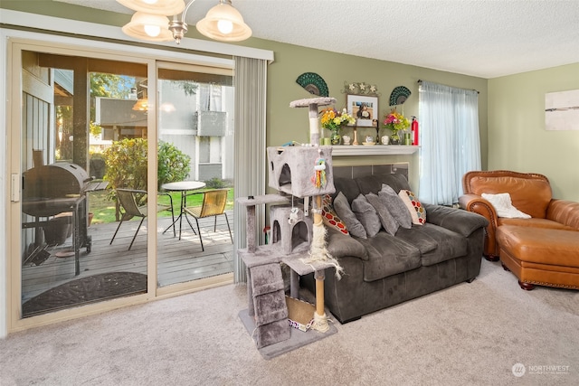 sitting room featuring carpet floors, a textured ceiling, and plenty of natural light