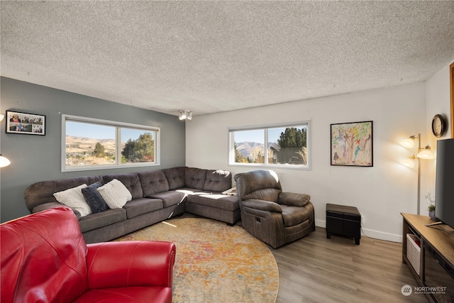 living room with hardwood / wood-style flooring, a healthy amount of sunlight, and a textured ceiling