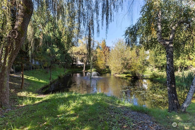 water view