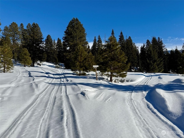 view of snowy yard