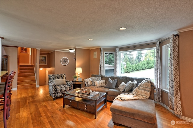 living room with crown molding, a textured ceiling, and light wood-type flooring