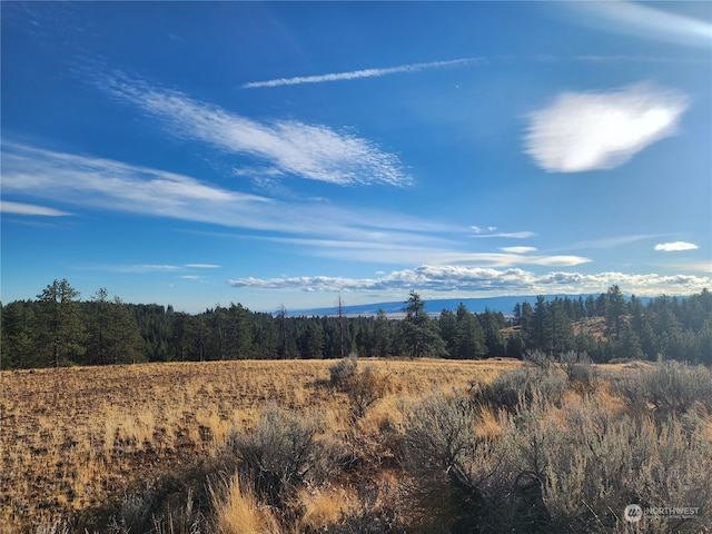 106 Falcon Ridge Rd, East Wenatchee WA, 98802 land for sale