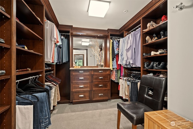 walk in closet with light colored carpet