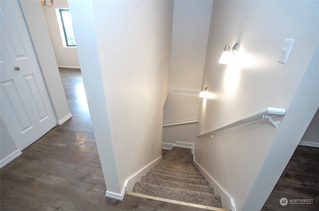 staircase with wood-type flooring