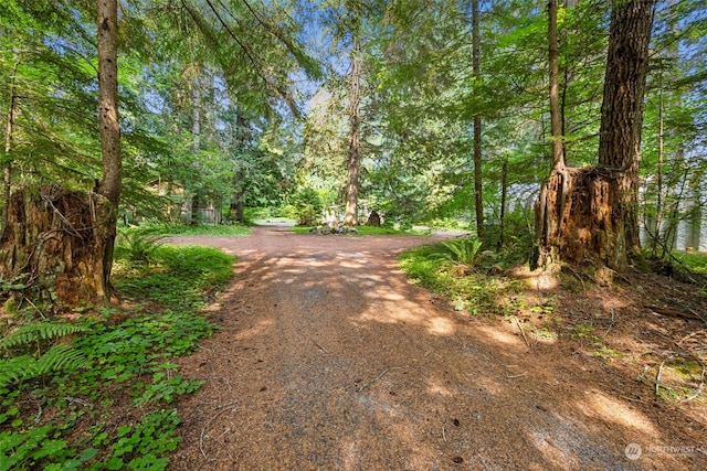 view of road