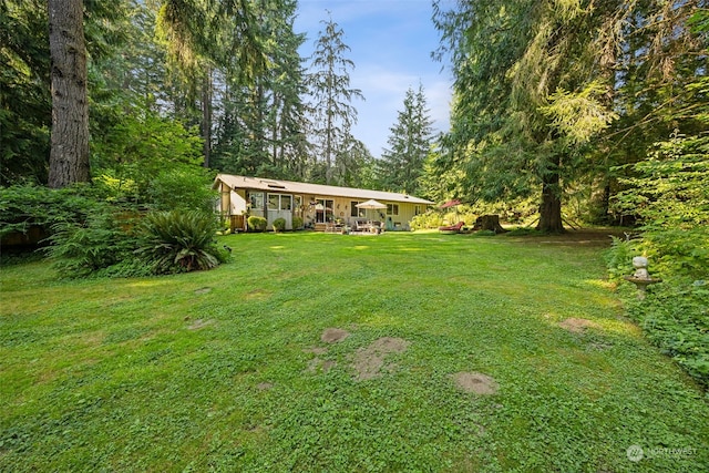 54611 278th Ave E, Ashford, WA 98304 - view of yard