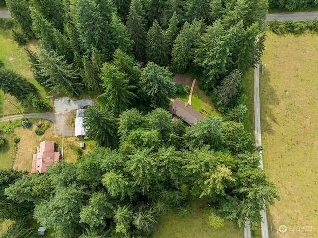 54611 278th Ave E, Ashford, WA 98304 - bird's eye view