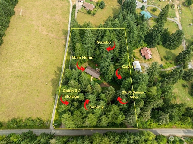 54611 278th Ave E, Ashford, WA 98304 - birds eye view of property