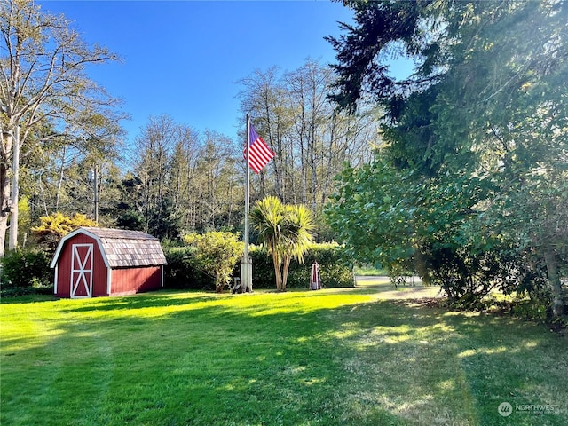 view of yard with a storage shed and an outbuilding