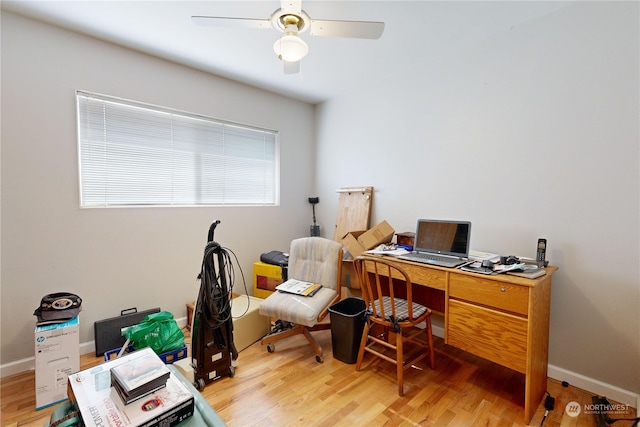 office area featuring hardwood / wood-style flooring and ceiling fan