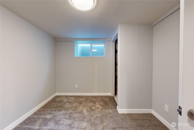 basement with carpet