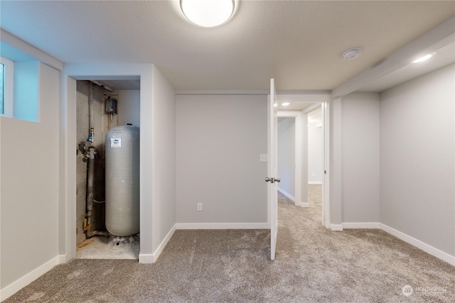 basement with carpet floors