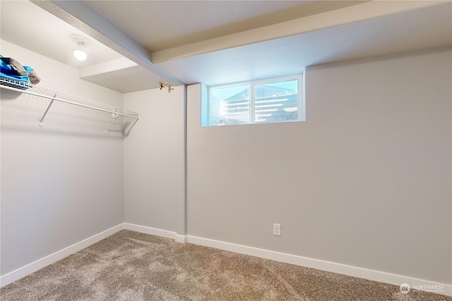 walk in closet featuring carpet