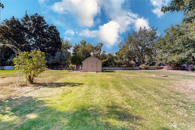 view of yard featuring a storage shed