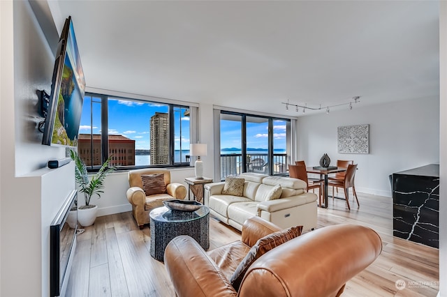 living room with light hardwood / wood-style floors