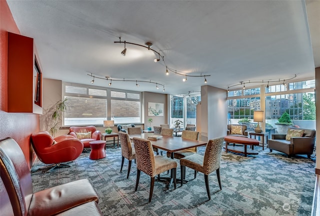 dining area with rail lighting