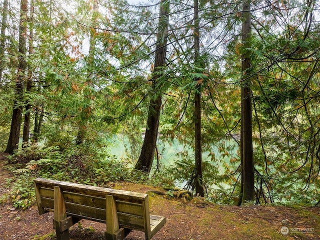 0 Woodbank Dr NE, Bainbridge Island, WA 98110 - photo 9