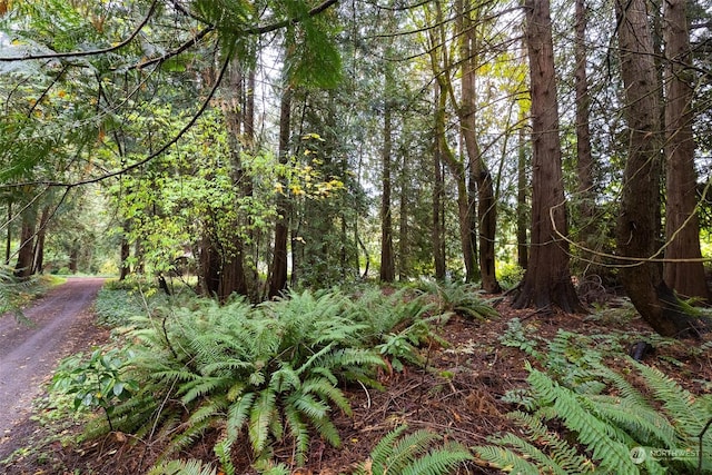 0 Woodbank Dr NE, Bainbridge Island, WA 98110 - photo 3