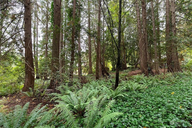 0 Woodbank Dr NE, Bainbridge Island, WA 98110 - photo 4