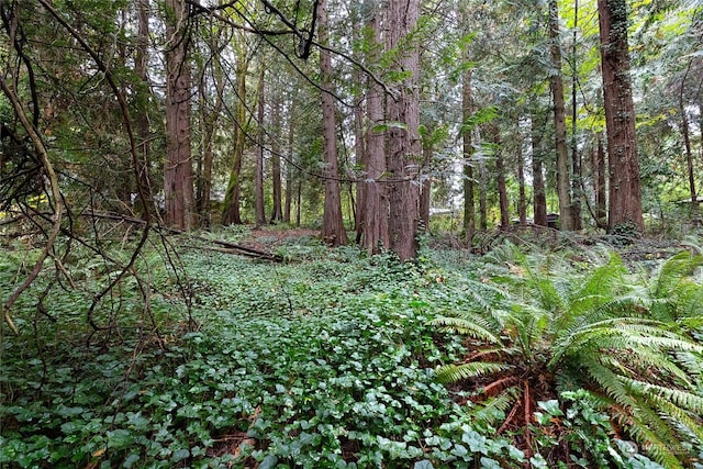 0 Woodbank Dr NE, Bainbridge Island, WA 98110 - photo 2