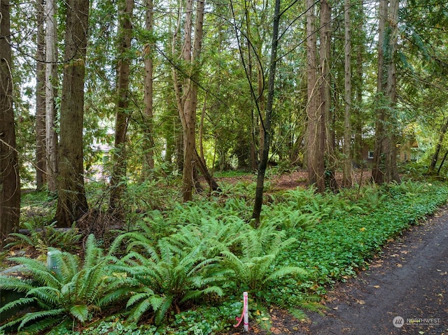 0 Woodbank Dr NE, Bainbridge Island WA, 98110 land for sale