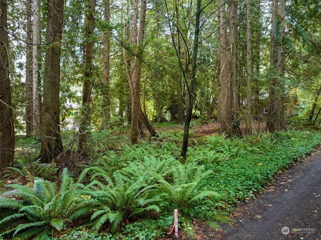 0 Woodbank Dr NE, Bainbridge Island, WA 98110 - photo 1
