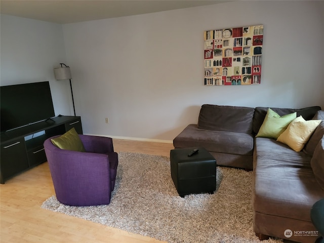 living room with wood-type flooring