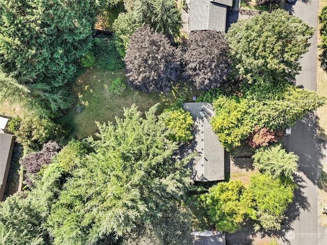 7220 Fair Oaks Loop SE, Olympia, WA 98513 - aerial view