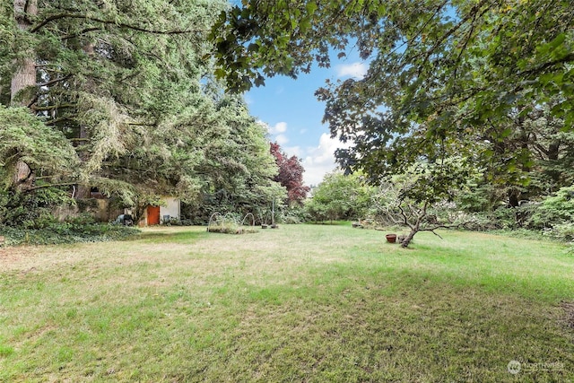 7220 Fair Oaks Loop SE, Olympia, WA 98513 - view of green lawn