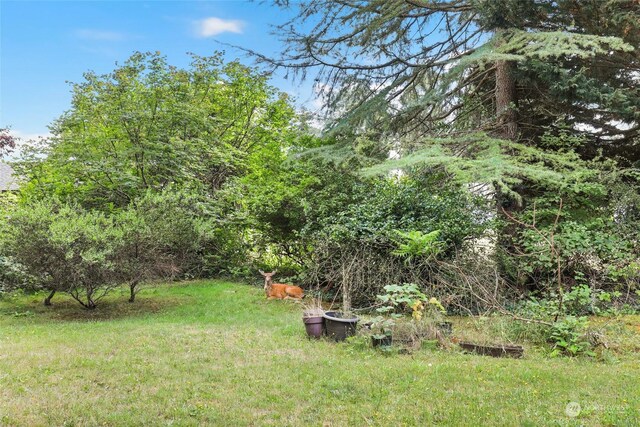 7220 Fair Oaks Loop SE, Olympia, WA 98513 - view of grassy yard