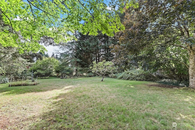 7220 Fair Oaks Loop SE, Olympia, WA 98513 - view of green lawn