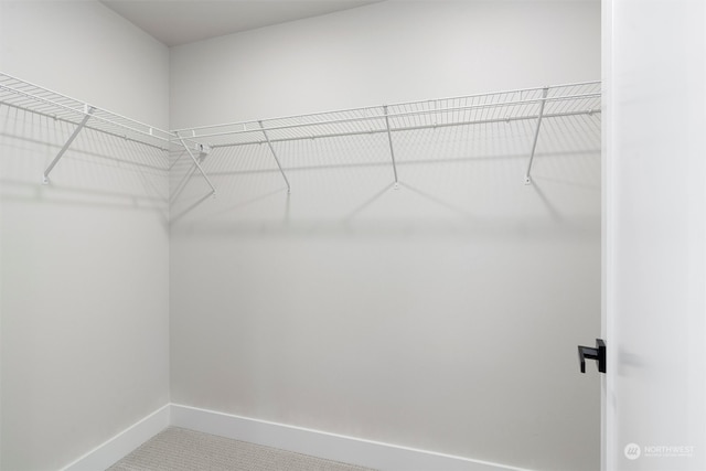 walk in closet with carpet floors