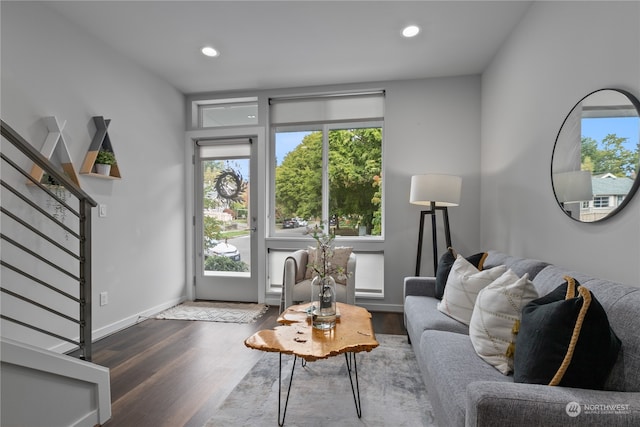 living room featuring dark wood-type flooring