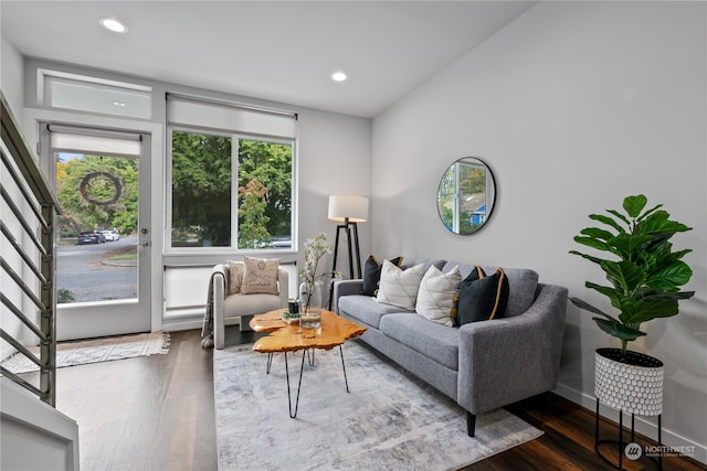 living room featuring dark hardwood / wood-style flooring