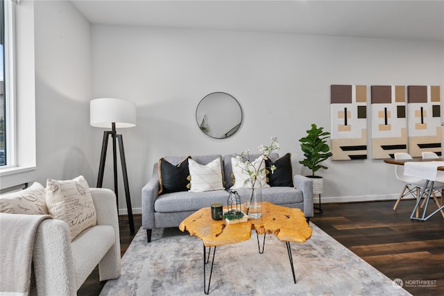 living room featuring dark wood-type flooring