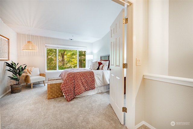 bedroom with carpet floors