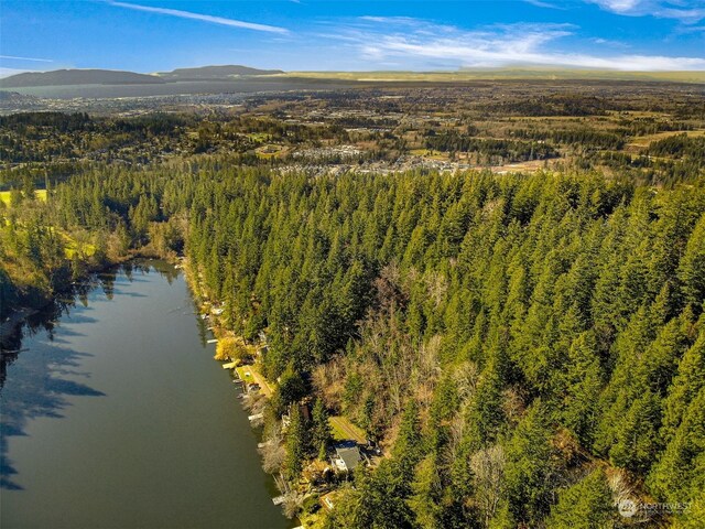 4220 Brays Way, Bellingham, WA 98226 - aerial overview of property's location with a heavily wooded area and a water and mountain view