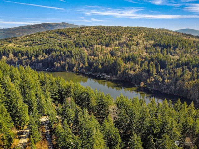 4220 Brays Way, Bellingham, WA 98226 - view of property location with a heavily wooded area and a water and mountain view