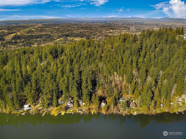 4220 Brays Way, Bellingham, WA 98226 - aerial view of property's location featuring a forest and a nearby body of water