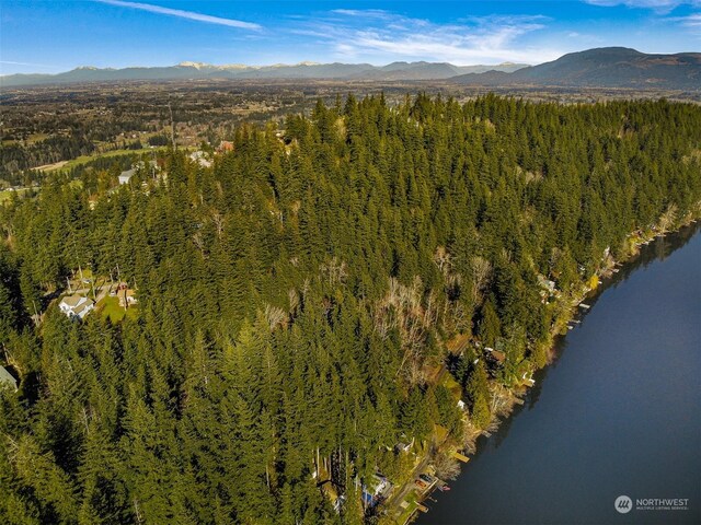 4220 Brays Way, Bellingham, WA 98226 - aerial view of property and surrounding area with a heavily wooded area and a water and mountain view
